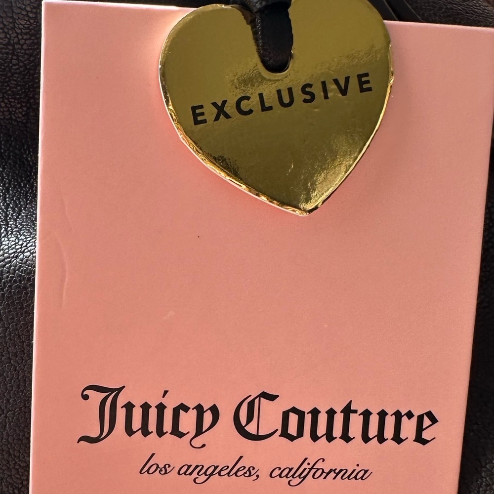 NWT Juicy Couture Exclusive Chocolate Romance Hobo Shoulder Bag with Pink Bow - Picture 8 of 9
